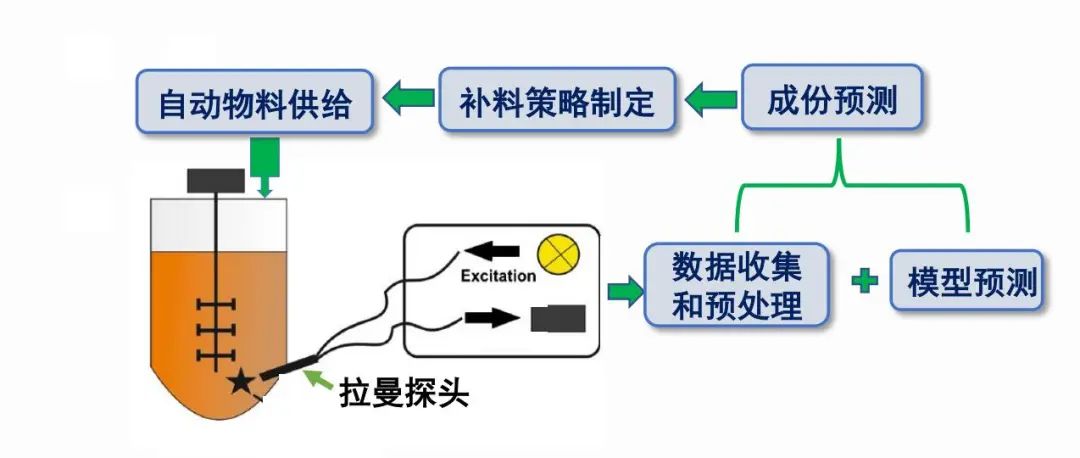 原位反應過程拉曼光譜分析儀的功能結構.jpg