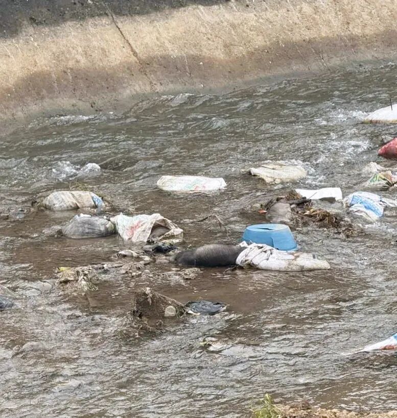 【客户案例】全光谱多参数水质监测站助力布拖县入河排污口规范化建设