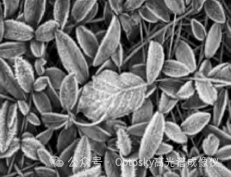 从“国家标准”到“核心技术”,高光谱如何走向产业应用?