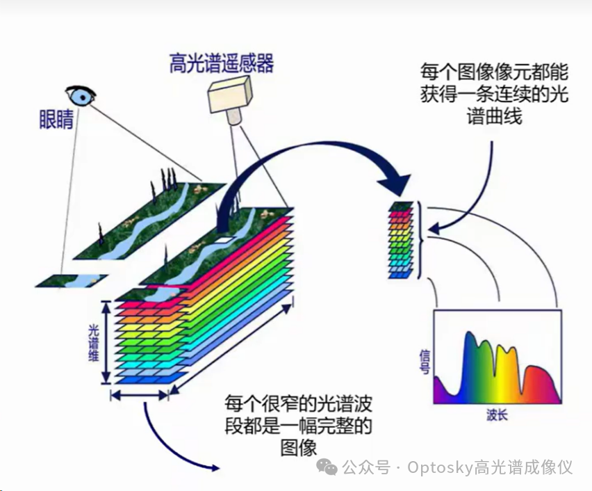 奥谱天成高光谱看见生长|高光谱赋能智慧农业新范式