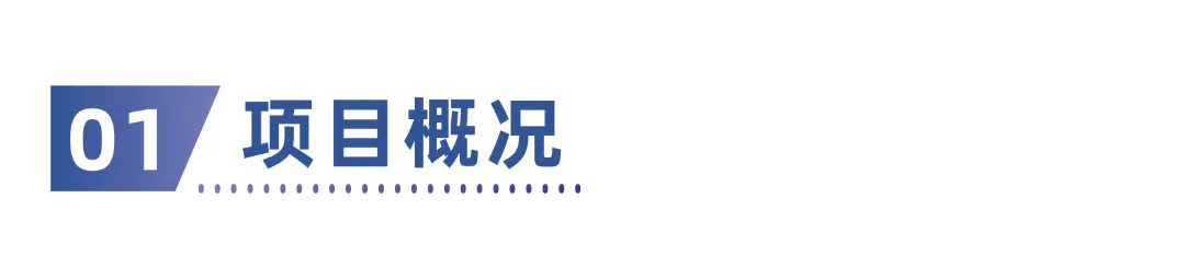 GF200地下管網(wǎng)可燃氣體泄漏監(jiān)測儀,助力徐州高新區(qū)燃氣安全智慧化平臺建設(shè)