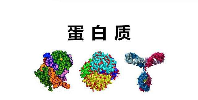 NanoBio 200-超微量分光光度计 - 拉曼光谱仪|光纤光谱仪|显微|便携式拉曼|手持式拉曼|双波长拉曼|高光谱|成像光谱|食品安全 ...