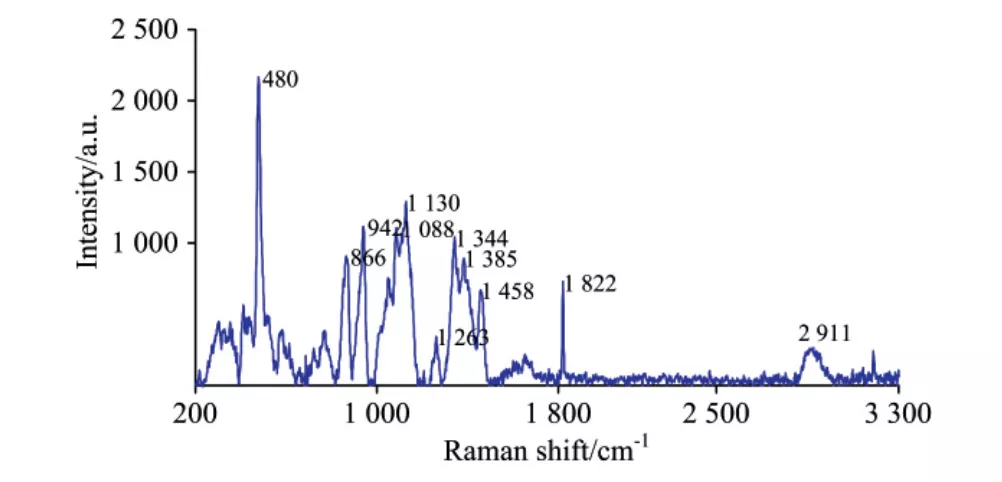 大米拉曼光谱不同预处理方法的相近产地鉴别研究